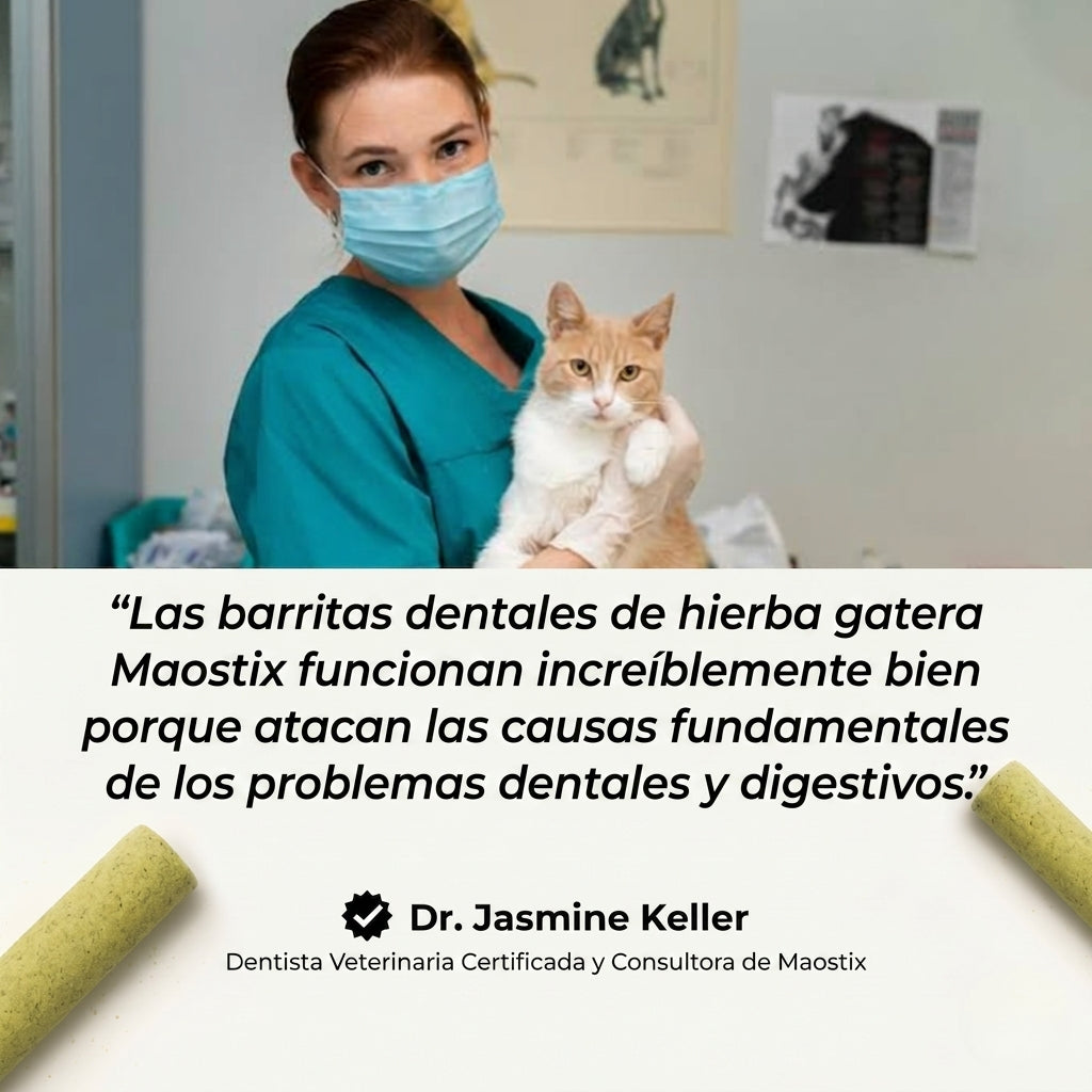 Palitos Dentales de Hierba para Gatos [Gratis Hoy]