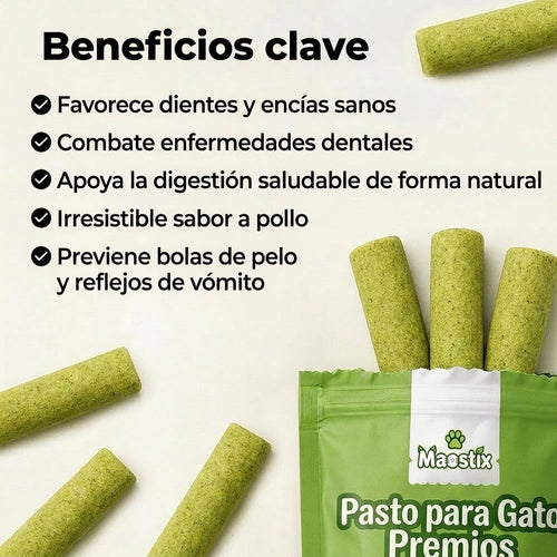 Palitos Dentales de Hierba para Gatos [Gratis Hoy]