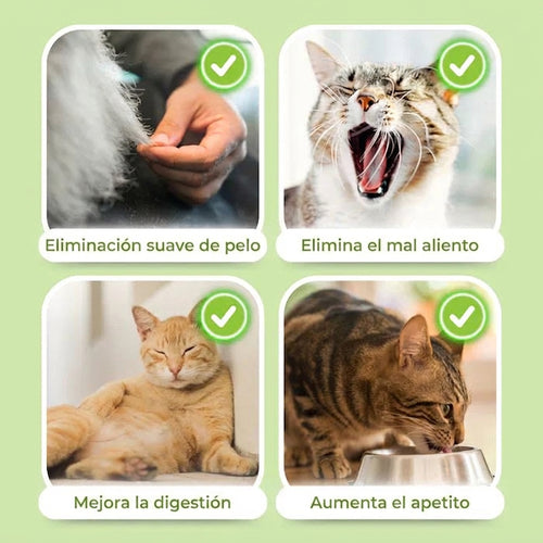 Palitos Dentales de Hierba para Gatos [Gratis Hoy]