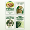 Pack Completo Dientes y Digestion