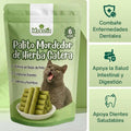 Palitos Dentales de Hierba para Gatos [Gratis Hoy]