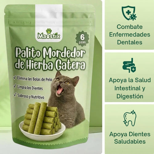 Palitos Dentales de Hierba para Gatos [Gratis Hoy]