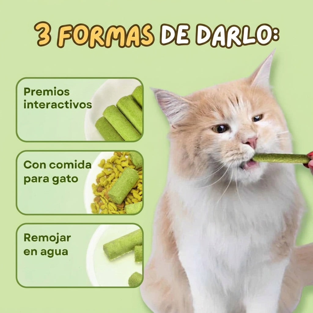 Palitos Dentales de Hierba para Gatos [Gratis Hoy]
