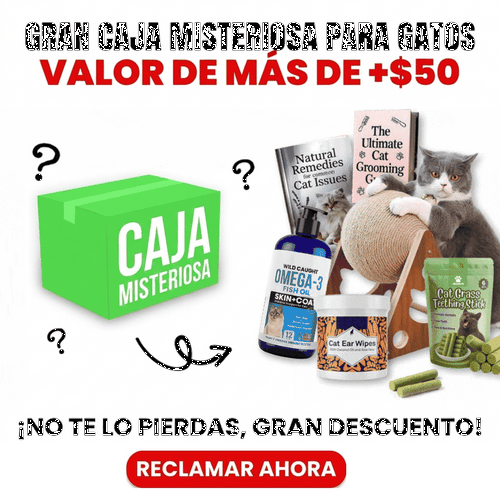 GRAN CAJA MISTERIOSA PARA GATOS (VALOR +$50)