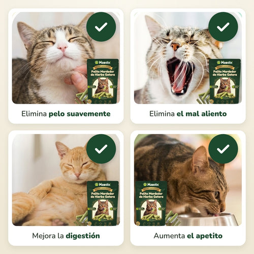 Palitos Dentales de Hierba para Gatos